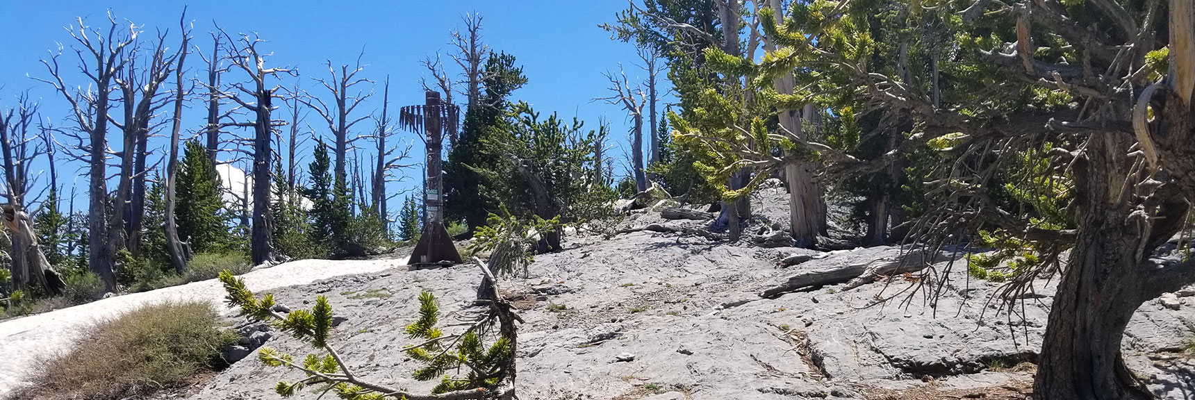 Arrival on Upper North Ridge Cutoff Approach Trail to Mummy Mountain