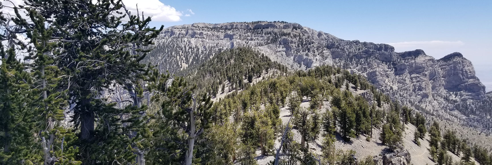 View along the Upper North Loop cutoff ridge to Mummy Mountain
