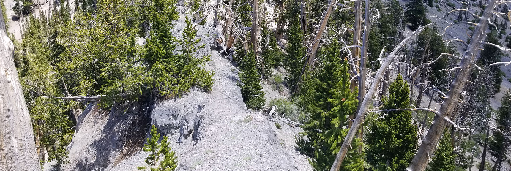 Narrow Cat Walk on Cutoff Ridge Between Upper North Loop Train and Mummy Mountain