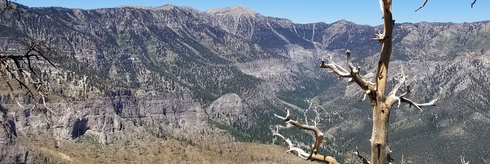 Cathedral Rock Viewed from Harris Mountain Descent Ridge in Mt. Charleston Wilderness, Nevada