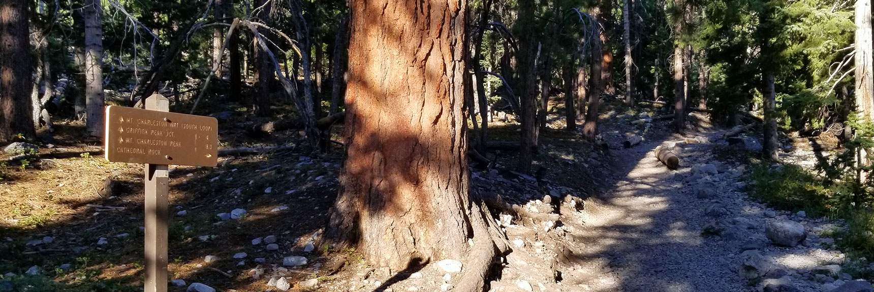 Cathedral Rock in Mt. Charleston Wilderness, Nevada