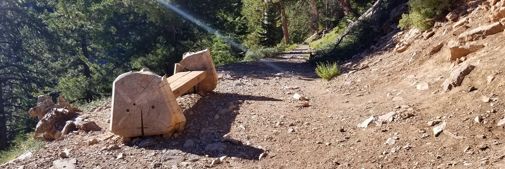 One of Many Resting Benches on the 1.3-Mile Cathedral Rock Trail, Mt. Charleston Wilderness, Nevada