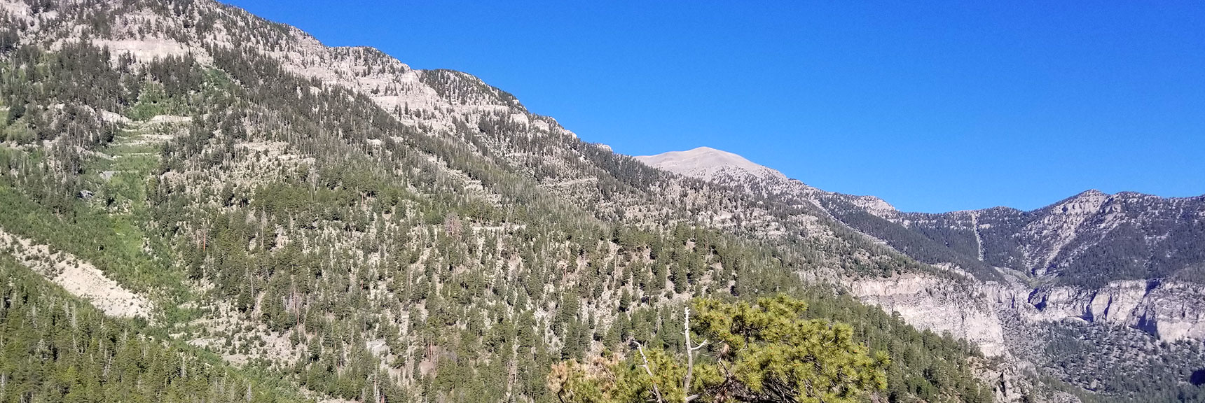 View of Charleston Peak from Cathedral Rock Summit, Mt. Charleston Wilderness, Nevada
