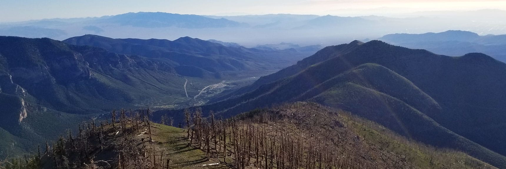 View Down the Ridge Between Griffith Peak and Harris Mountain, Nevada