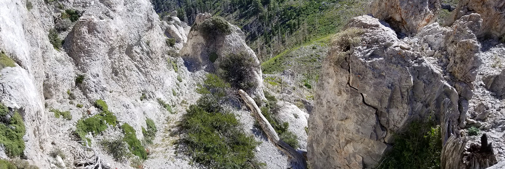 Descending the Final Stretch to the Griffith Peak / Harris Mountain Saddle, Nevada