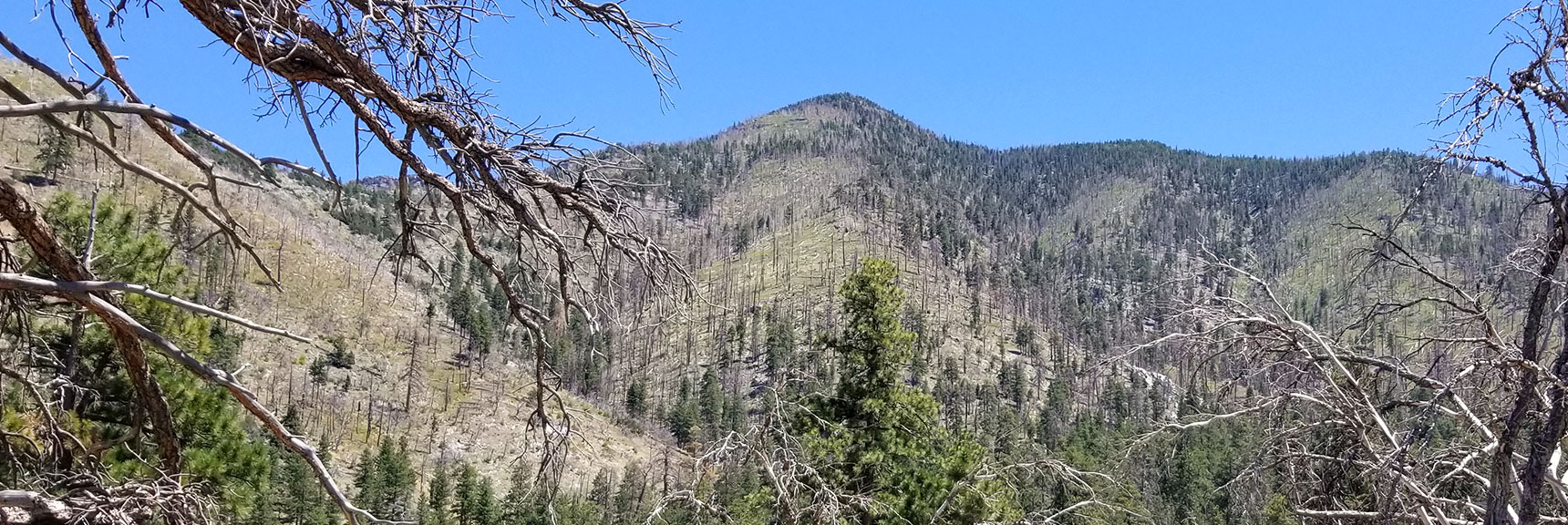 Looking Up Harris Mt. Descent Ridge from Rainbow Sub-Division, Nevada