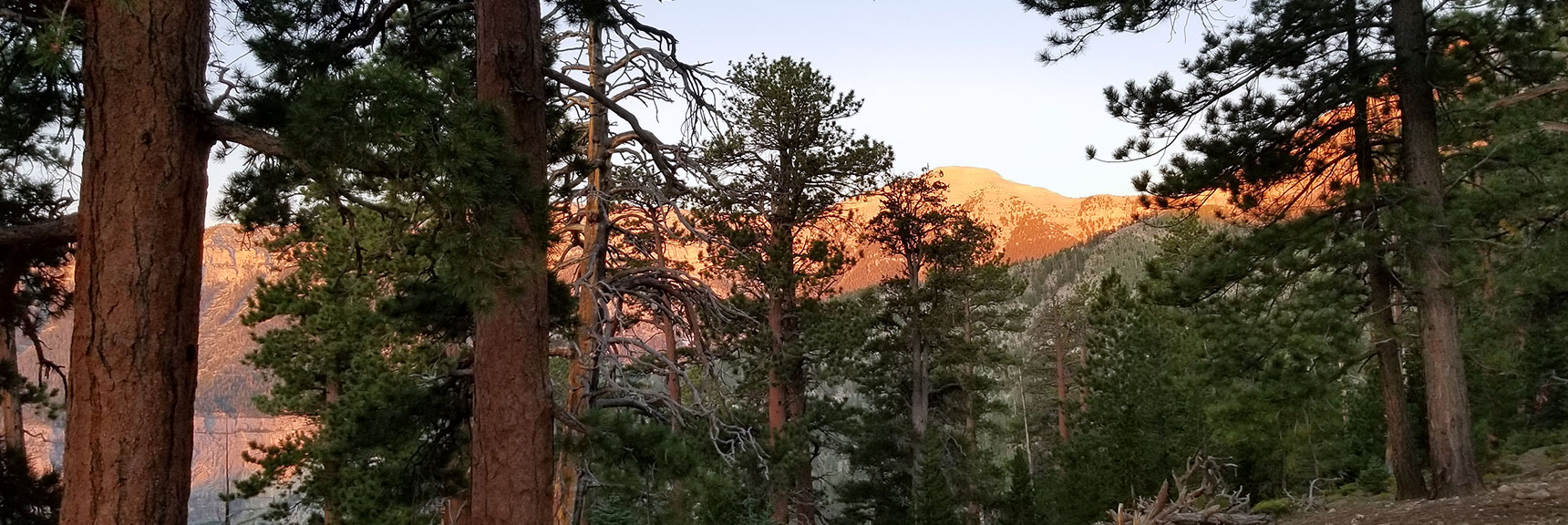 Charleston Peak Viewed from Trail Canyon at Sunrise, Nevada