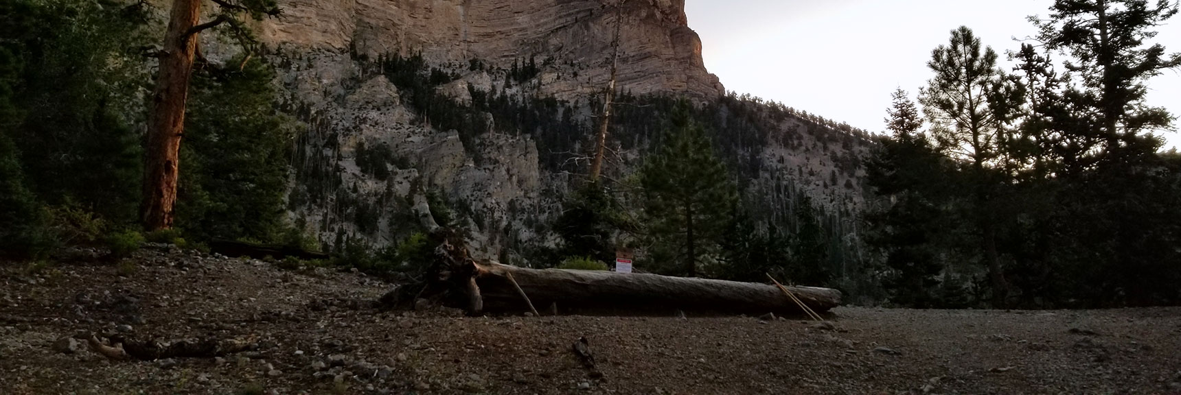 Trail Canyon / North Loop Trails Junction at Sunrise, Nevada