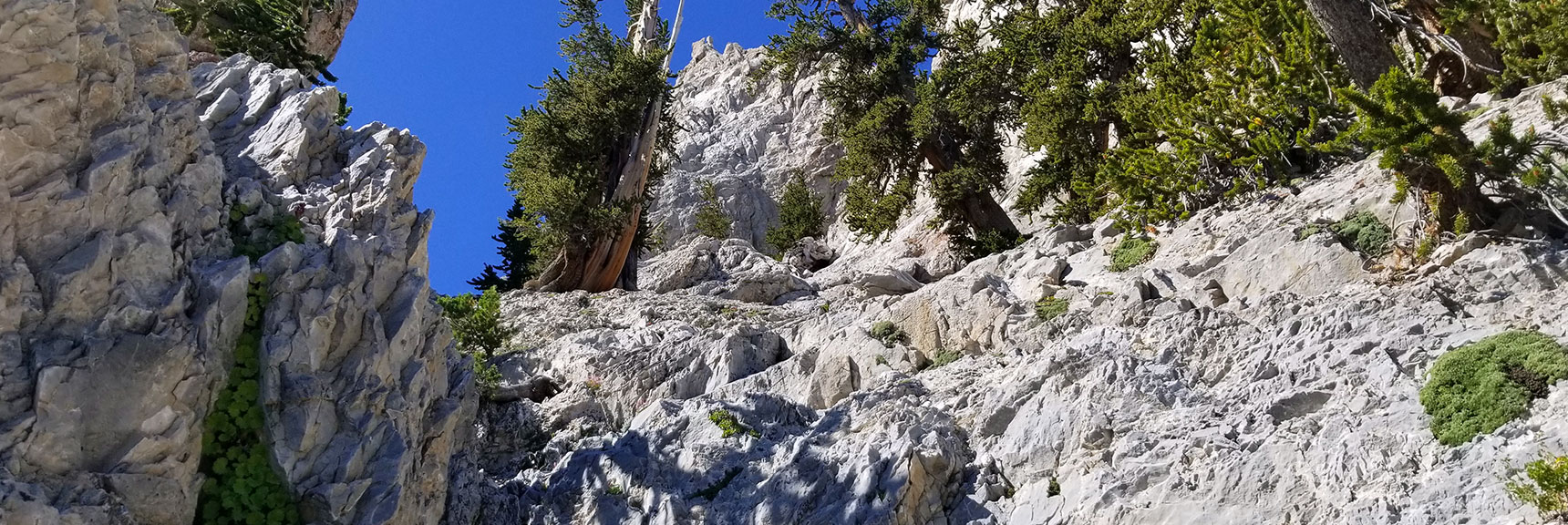 Heading Up Mummy's False Summit Approach Canyon, Nevada