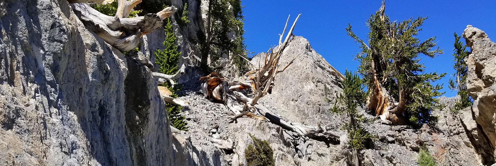 First View of Approach to Summit Ledge Below Mummy Mountain Summit, Nevada