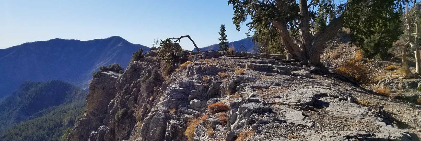 Harris Mountain viewed from Cockscomb Ridge, Cockscomb Ridge Wilderness Circuit in Mt. Charleston Wilderness, Nevada