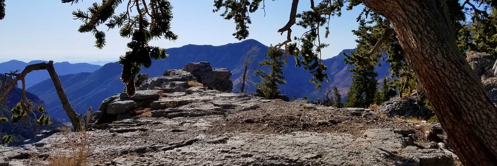 Cockscomb Ridge Wilderness Circuit in Mt. Charleston Wilderness, Nevada