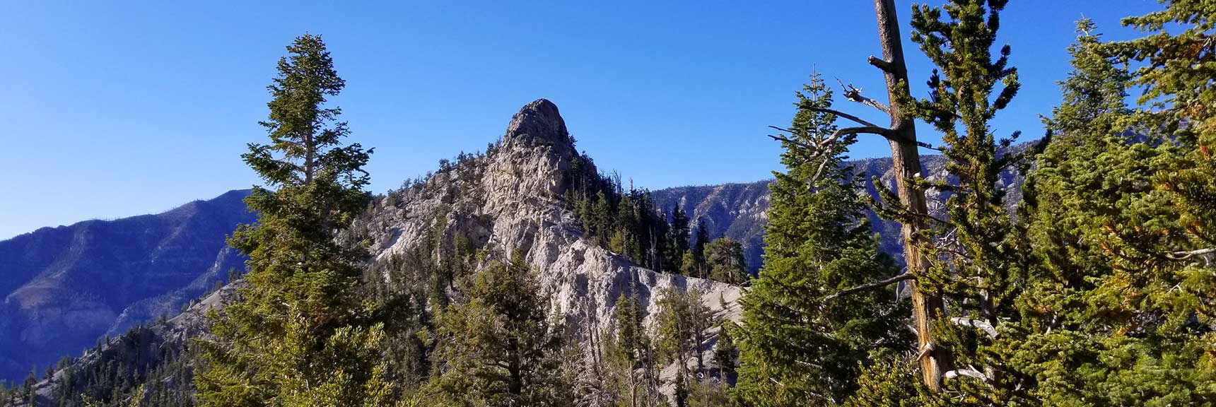 Cockscomb Peak and Ridge Wilderness Circuit in Mt. Charleston Wilderness, Nevada