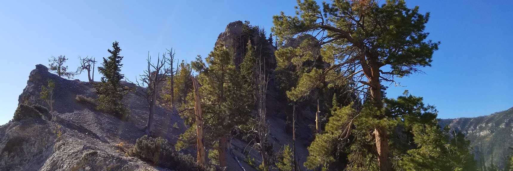West side of Cockscomb Ridge, in Mt. Charleston Wilderness, Nevada