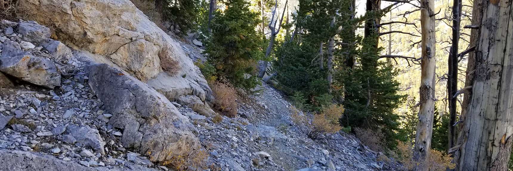 West side of Cockscomb Ridge, in Mt. Charleston Wilderness, Nevada
