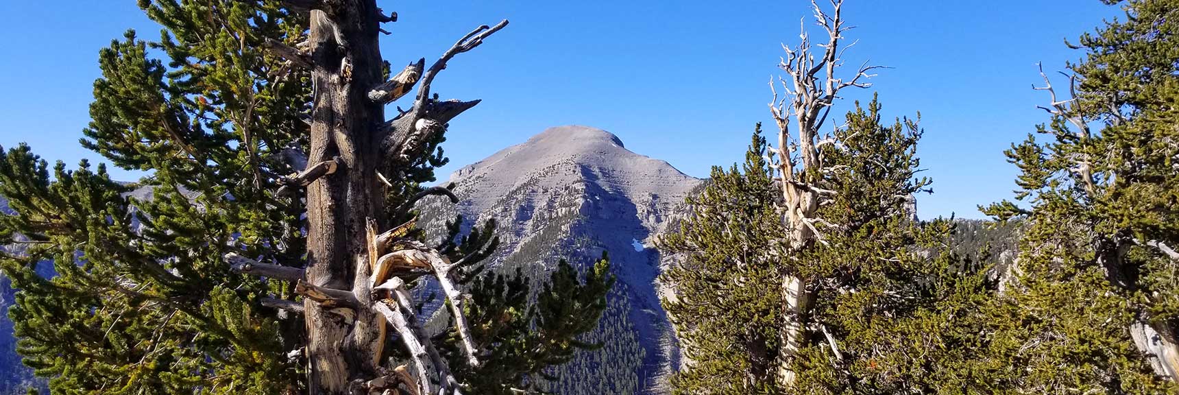 Charleston Peak Viewed from Kyle Canyon, Spring Mountains, Nevada Slide 001
