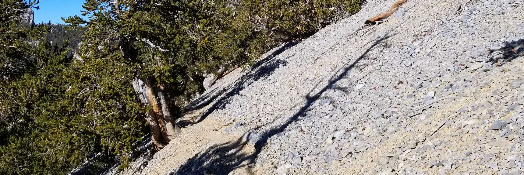 Upper North Loop Trail in Kyle Canyon, Spring Mountains, Nevada Slide 001
