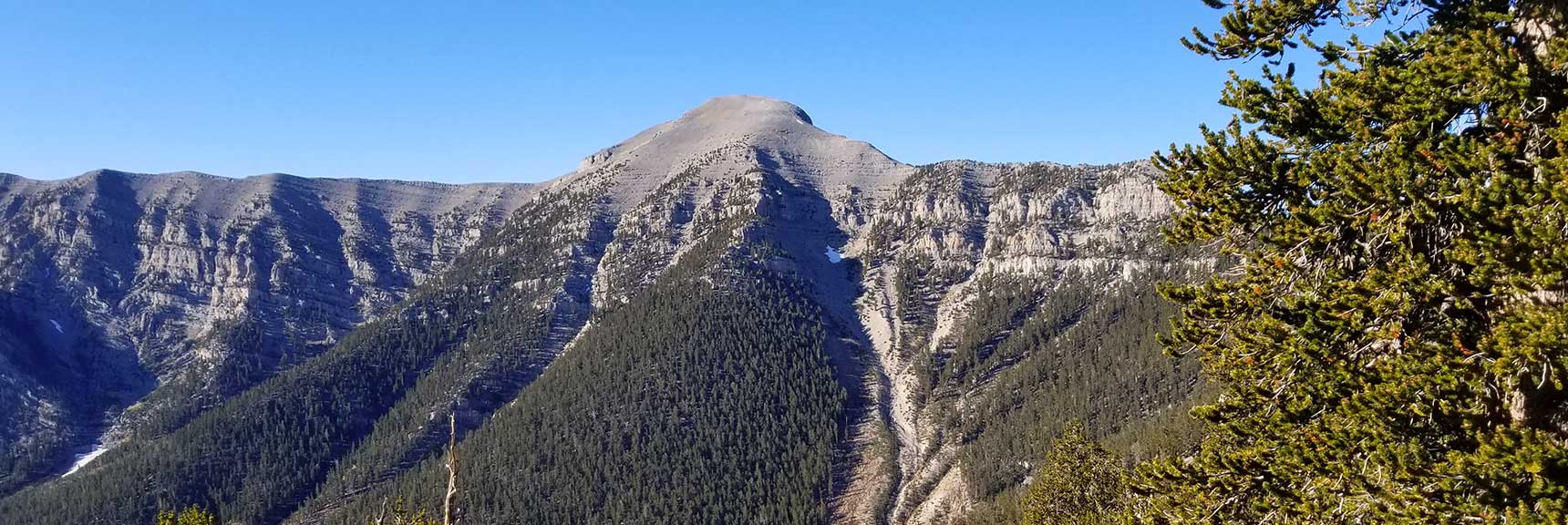 Charleston Peak Viewed from Upper North Loop Trail in Kyle Canyon, Spring Mountains, Nevada Slide 001