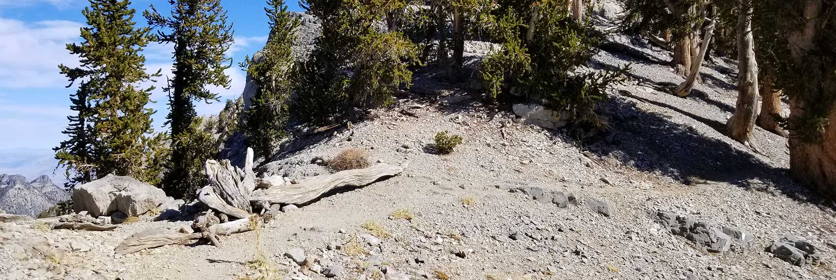 Upper Approach Route to Lee Peak in Kyle Canyon, Spring Mountains, Nevada Slide 001
