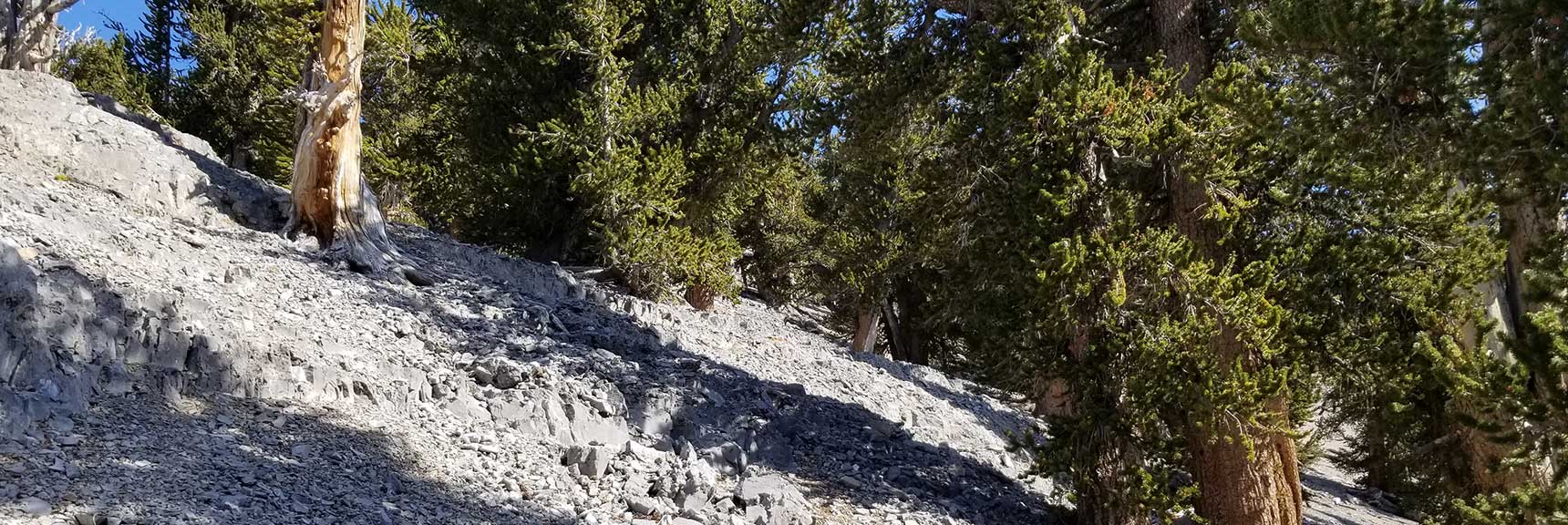Ascending the Upper Approach Route to Lee Peak in Kyle Canyon, Spring Mountains, Nevada Slide 001
