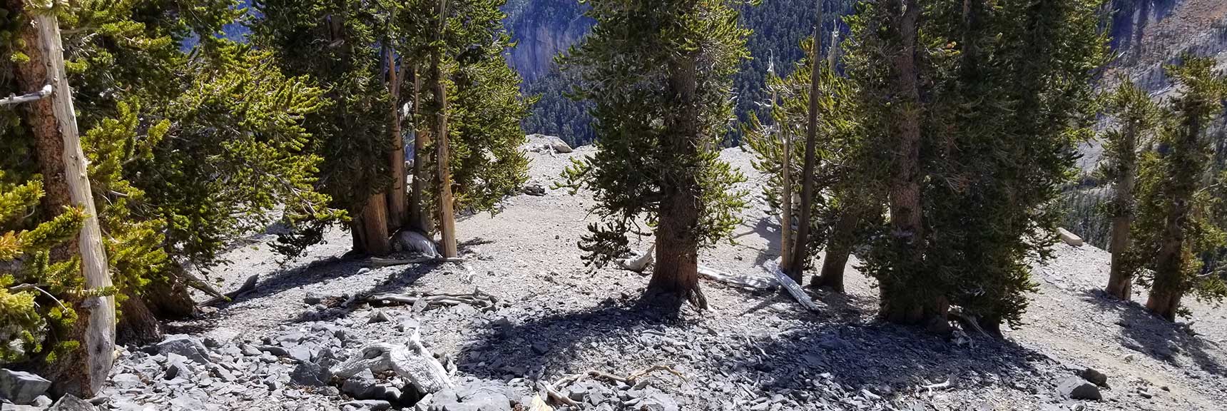 Heading Down Lower Lee Peak Descent Route in Kyle Canyon, Spring Mountains, Nevada Slide 001