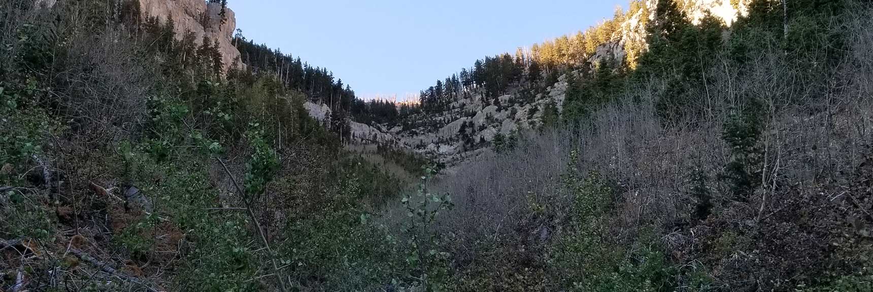 Looking Up the the Top of Kyle Canyon South Ridge, Charleston Peak from Cathedral Rock, Spring Mountains, Nevada