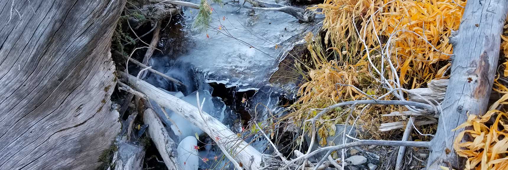 Frozen Mountain Stream and Ice Covered Rocks to Navigate In the Mountain Wash, Charleston Peak from Cathedral Rock, Spring Mountains, Nevada