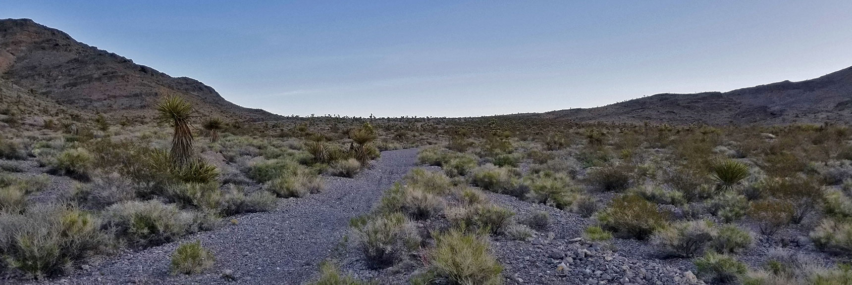 Rising Through the Castle Rock/Gass Peak Pass | Gass Peak Eastern Summit Ultra-marathon Adventure, Nevada