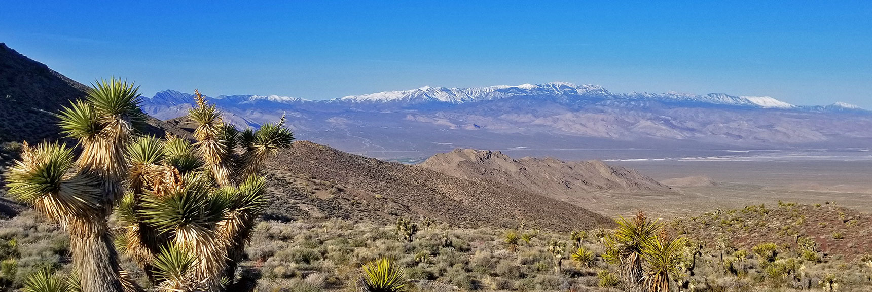Looking Back West from the Northern Foothills of Gass Peak Toward the Mt. Charleston Wilderness | Gass Peak Eastern Summit Ultra-marathon Adventure, Nevada
