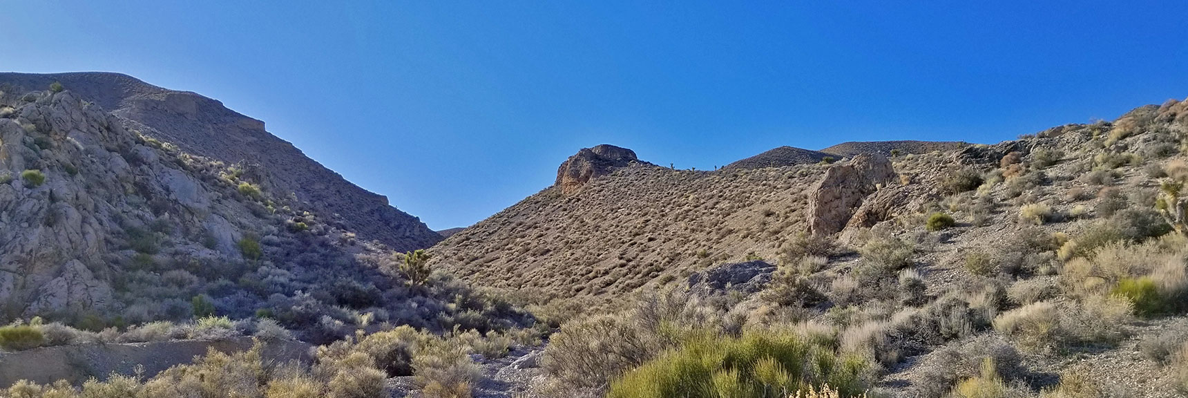 View Up the Gass Peak Mid-Summit ridge Northern Canyon Toward the Mid-Summit | Gass Peak Eastern Summit Ultra-marathon Adventure, Nevada