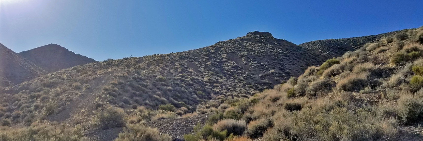Facing the Dramatic Elevation Gain I Call "The Ladder" at the Base of the Mid-Summit of Gass Peak | Gass Peak Eastern Summit Ultra-marathon Adventure, Nevada