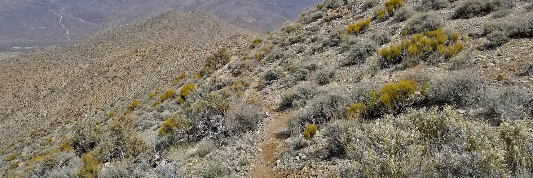 Heading Down the Main Trail to the Northern Base of Gass Peak Eastern Summit | Gass Peak Eastern Summit Ultra-marathon Adventure, Nevada