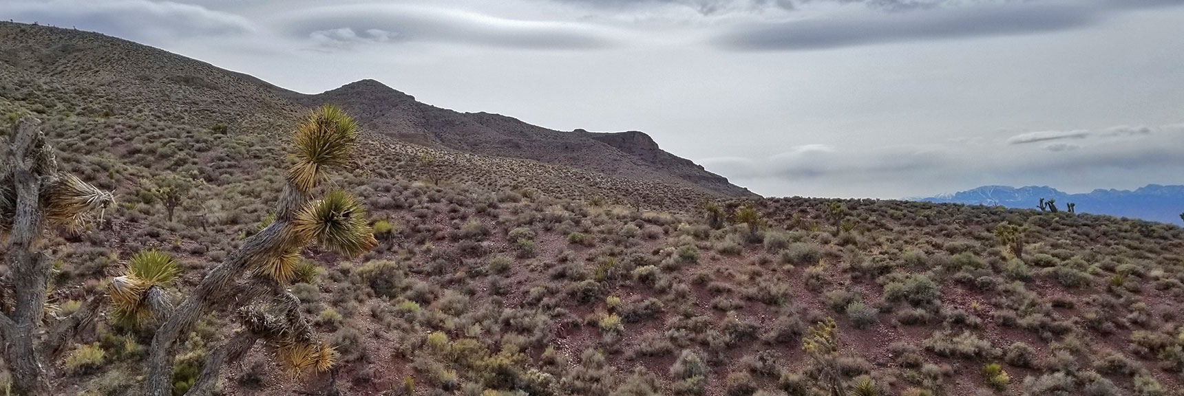 Heading Back West Along the Northern Base of Gass Peak | Gass Peak Eastern Summit Ultra-marathon Adventure, Nevada
