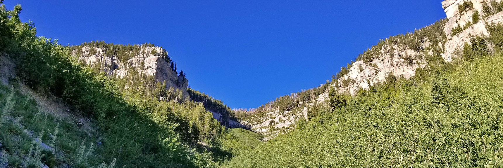 View Up Canyon Above Cathedral Rock | Cathedral Rock to South Ridge Kyle Canyon Summit, Nevada