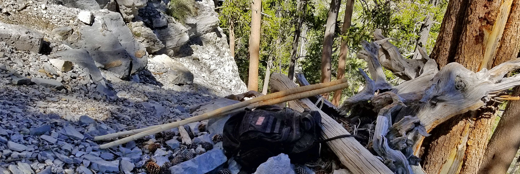 View Down the Avalanche Slope at the Base of the Cliff to the Left of the Canyon Wash | Cathedral Rock to South Ridge Kyle Canyon Summit, Nevada