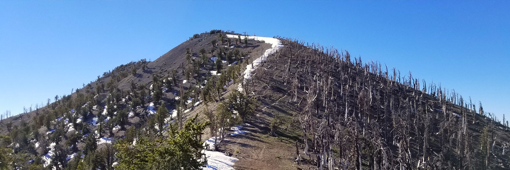 Griffith Peak | Mt Charleston Wilderness | Spring Mountains, Nevada