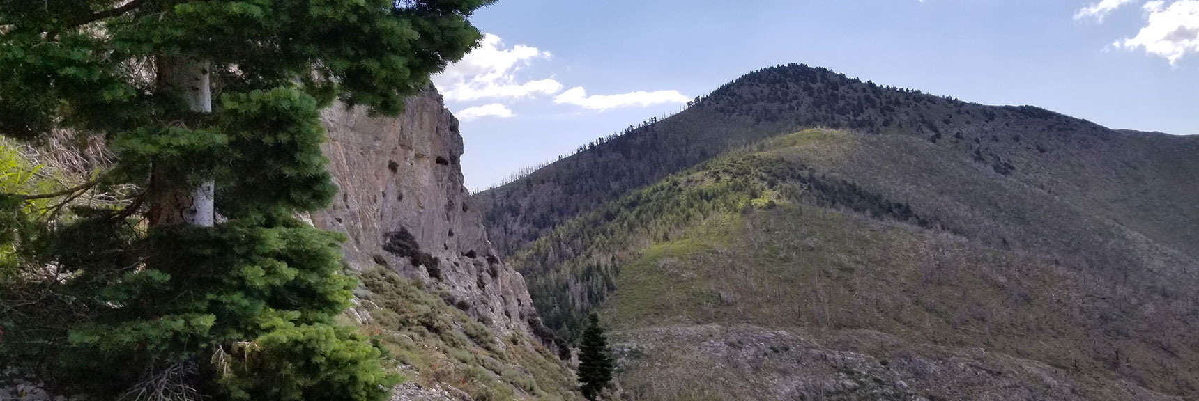 Harris Mt. from S. Climb Tr. | Mt Charleston Wilderness | Spring Mountains, Nevada
