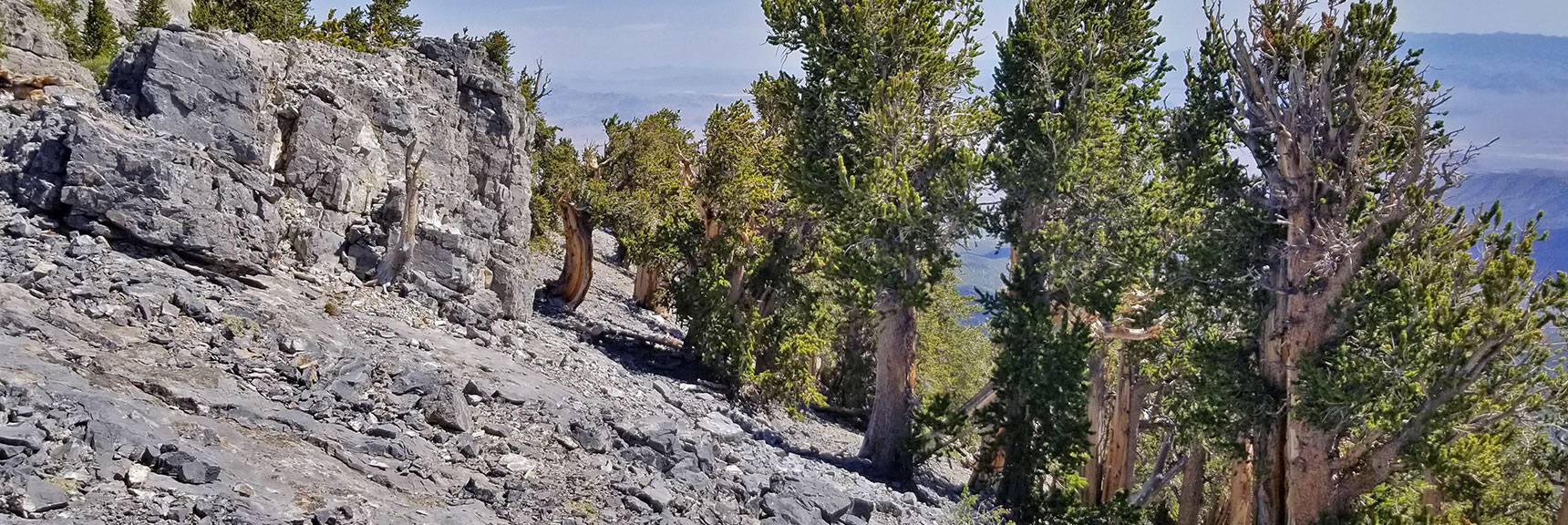 Mummy Mountain's Knees | Mt Charleston Wilderness | Spring Mountains, Nevada