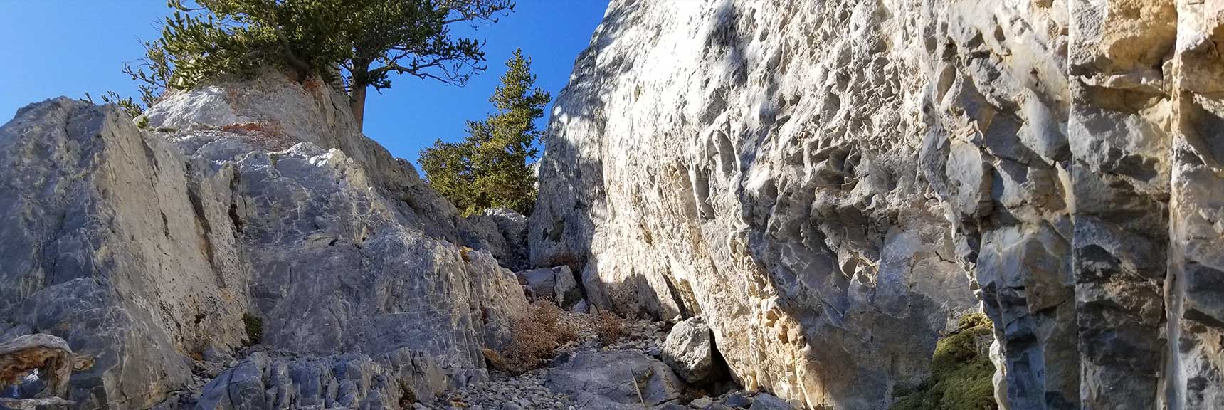 Mummy Mountain NE | Mt Charleston Wilderness | Spring Mountains, Nevada