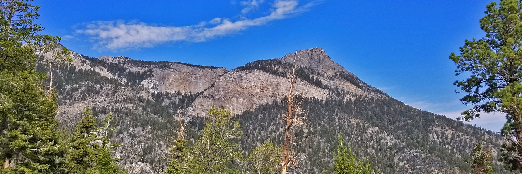 Looking Back at Mummy's Head Area for Climbing Route Ideas | Deer Creek Rd - Mummy Cliffs - Mummy Springs - Raintree - Fletcher Peak - Cougar Ridge Trail Circuit | Mt Charleston Wilderness | Spring Mountains, Nevada