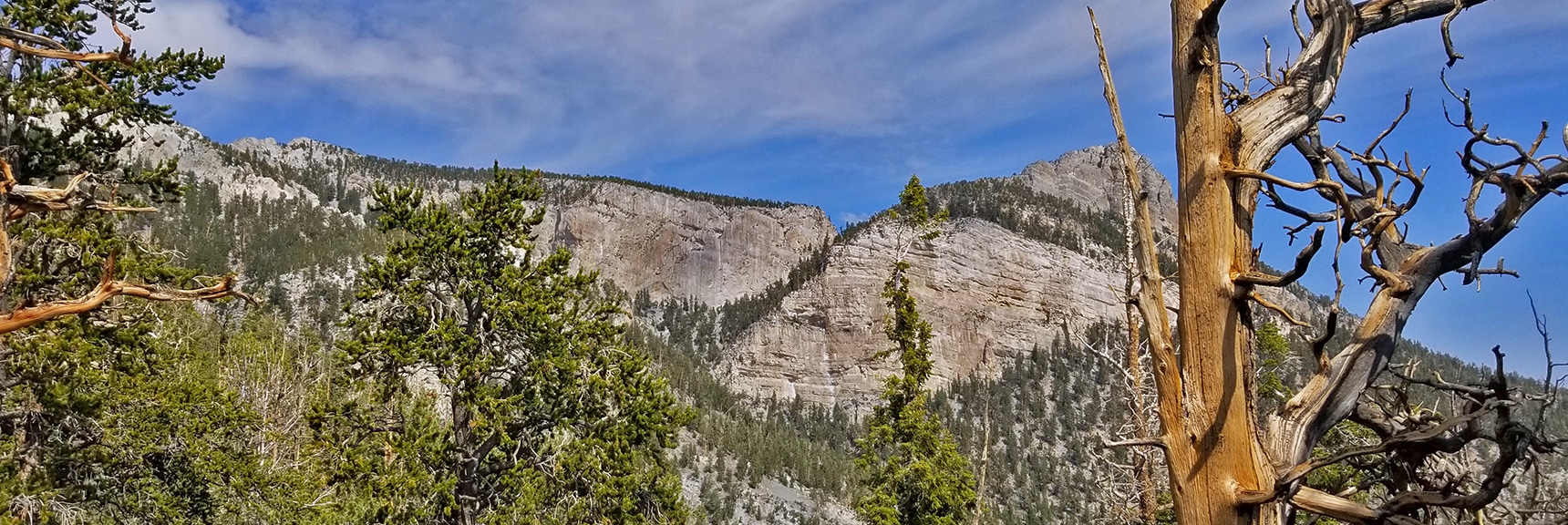 Looking Back at Mummy's Head Area for Climbing Route Ideas | Deer Creek Rd - Mummy Cliffs - Mummy Springs - Raintree - Fletcher Peak - Cougar Ridge Trail Circuit | Mt Charleston Wilderness | Spring Mountains, Nevada