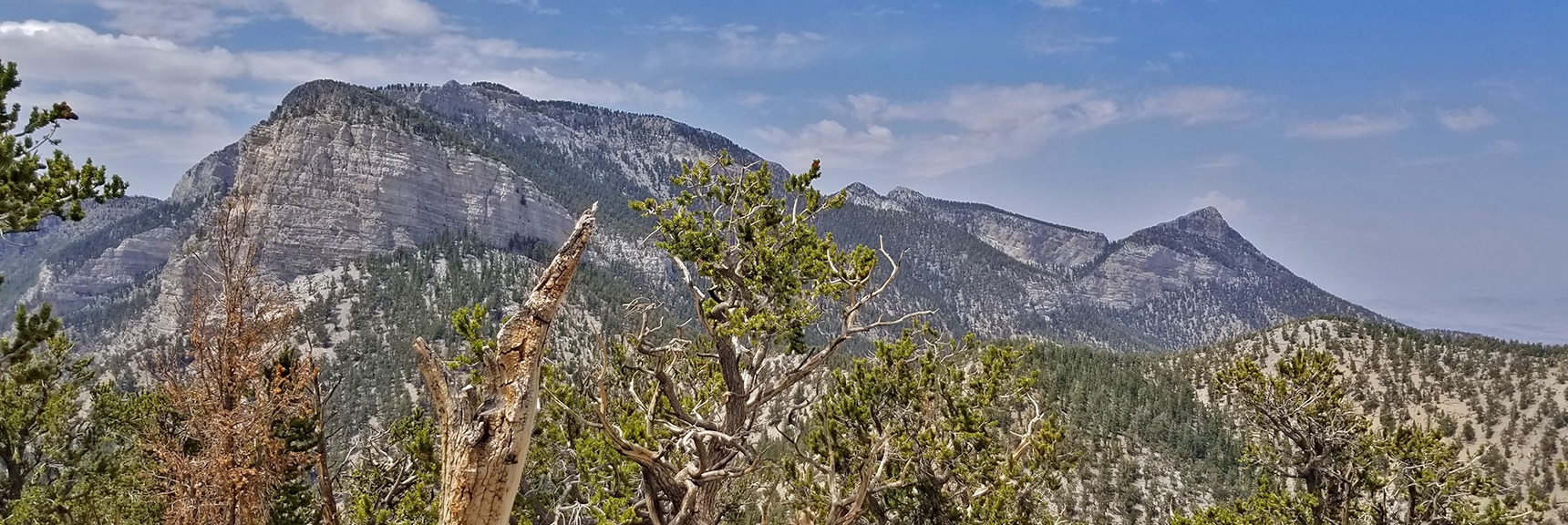 Mummy's Toe to Mummy's Head from Fletcher Peak Summit | Deer Creek Rd - Mummy Cliffs - Mummy Springs - Raintree - Fletcher Peak - Cougar Ridge Trail Circuit | Mt Charleston Wilderness | Spring Mountains, Nevada