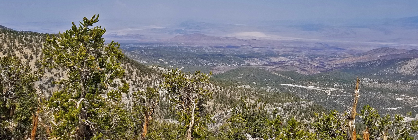 View Back to Starting Point on Lower Deer Creek Road from Fletcher Peak Summit | Deer Creek Rd - Mummy Cliffs - Mummy Springs - Raintree - Fletcher Peak - Cougar Ridge Trail Circuit | Mt Charleston Wilderness | Spring Mountains, Nevada