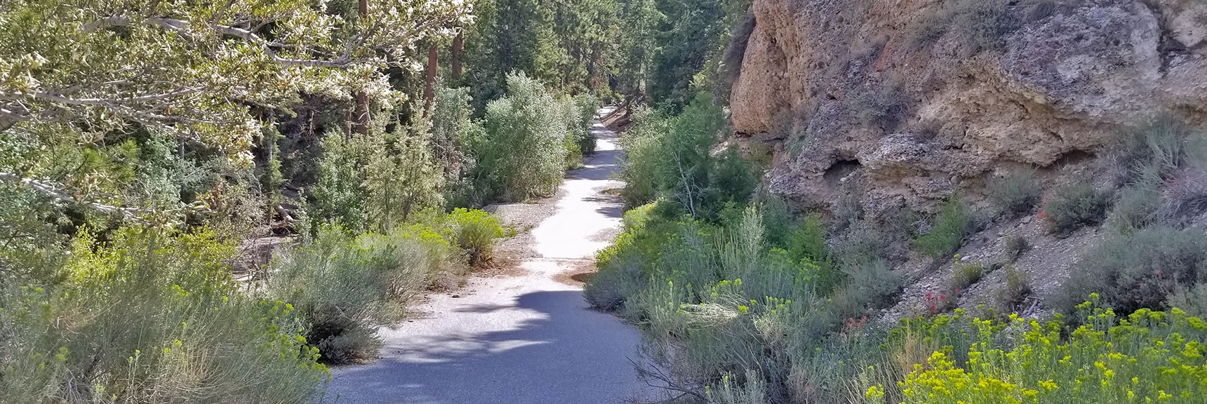Entrance to Deer Creek Picnic Area Just Off Deer Creek Road | Deer Creek Rd - Mummy Cliffs - Mummy Springs - Raintree - Fletcher Peak - Cougar Ridge Trail Circuit | Mt Charleston Wilderness | Spring Mountains, Nevada