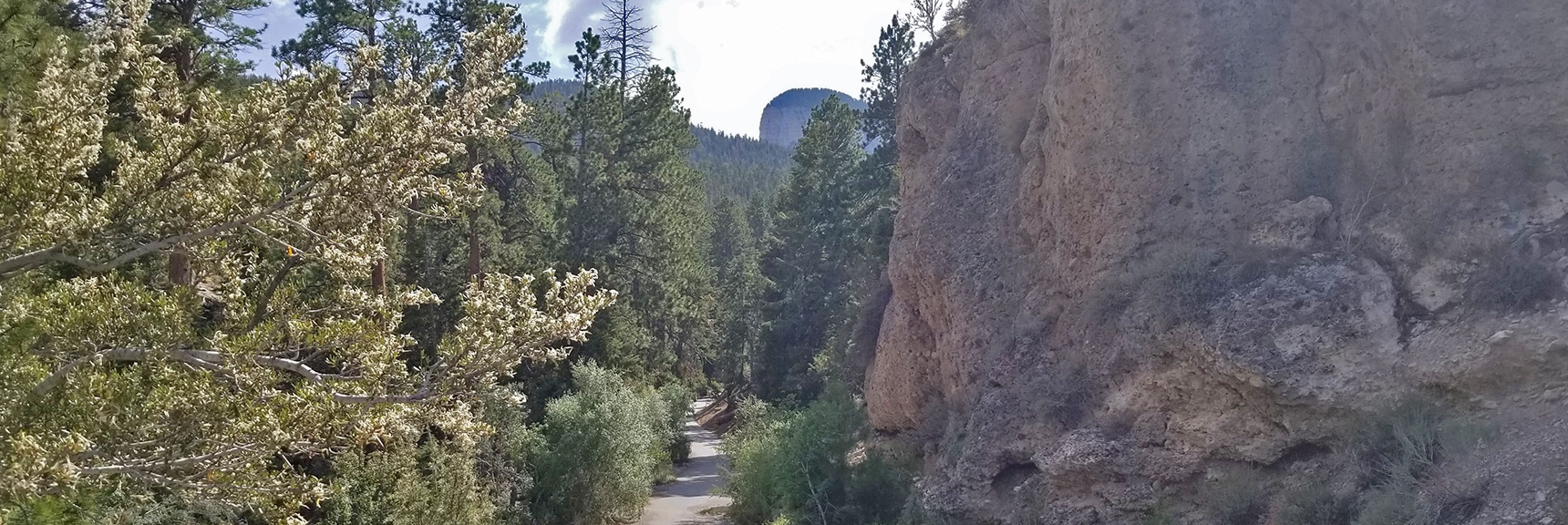 Entrance to Deer Creek Picnic Area Just Off Deer Creek Road - Mummy's Toe in Distance | Deer Creek Rd - Mummy Cliffs - Mummy Springs - Raintree - Fletcher Peak - Cougar Ridge Trail Circuit | Mt Charleston Wilderness | Spring Mountains, Nevada