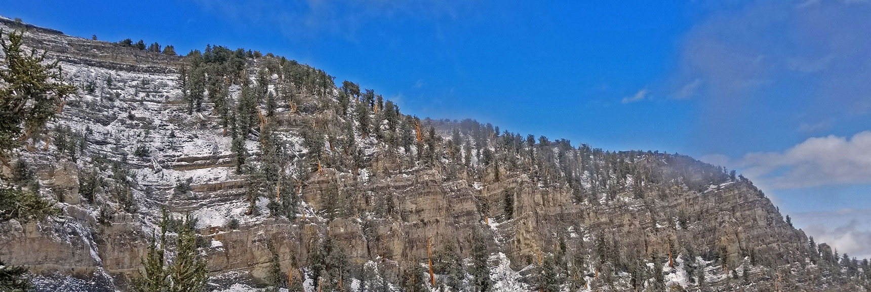Cliffs Along the North Loop Trail Below Charleston Peak Summit | Charleston Peak Loop October Snow Dusting | Mt. Charleston Wilderness | Spring Mountains, Nevada
