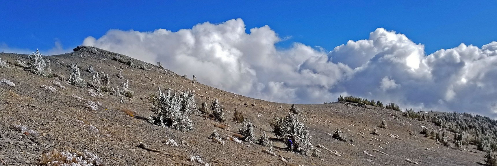 The High South Loop Trail Saddle | Charleston Peak Loop October Snow Dusting | Mt. Charleston Wilderness | Spring Mountains, Nevada