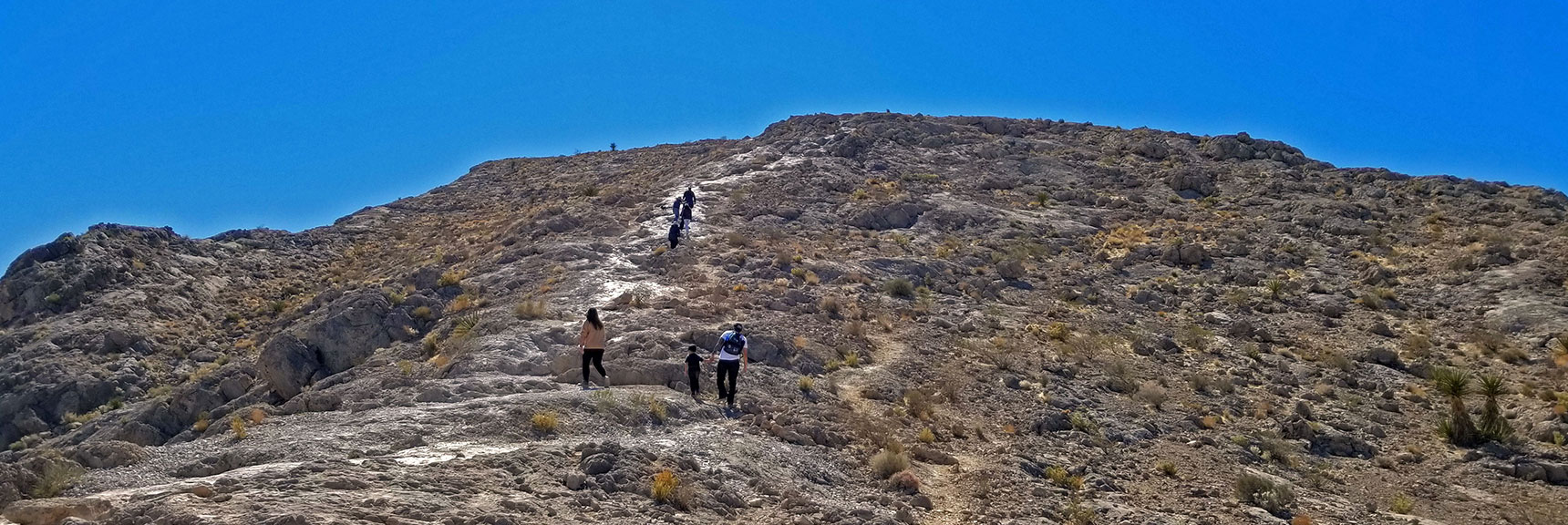 Connecting With Main Summit Route, Nearing Final Ascent to Summit | Lone Mountain | Las Vegas, Nevada