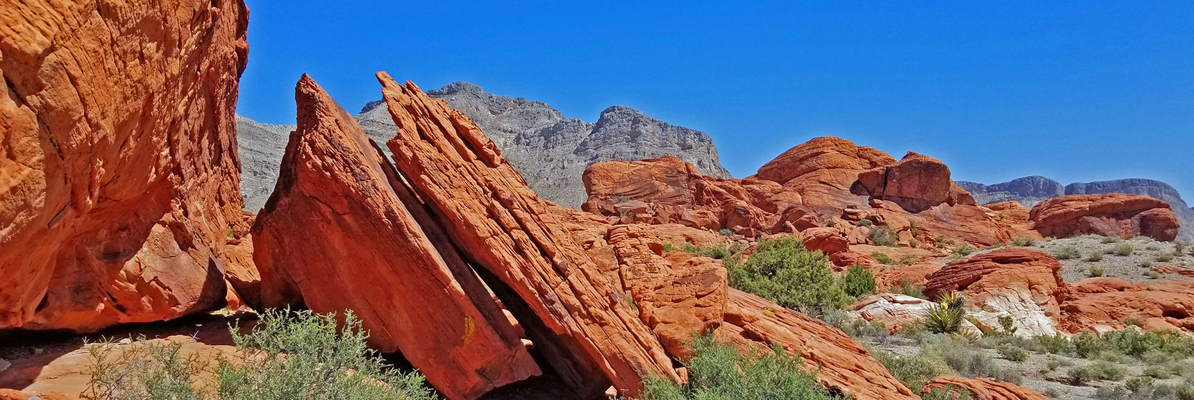 View North Toward Canyon Rim | Little Red Rock Las Vegas, Nevada, Near La Madre Mountains Wilderness