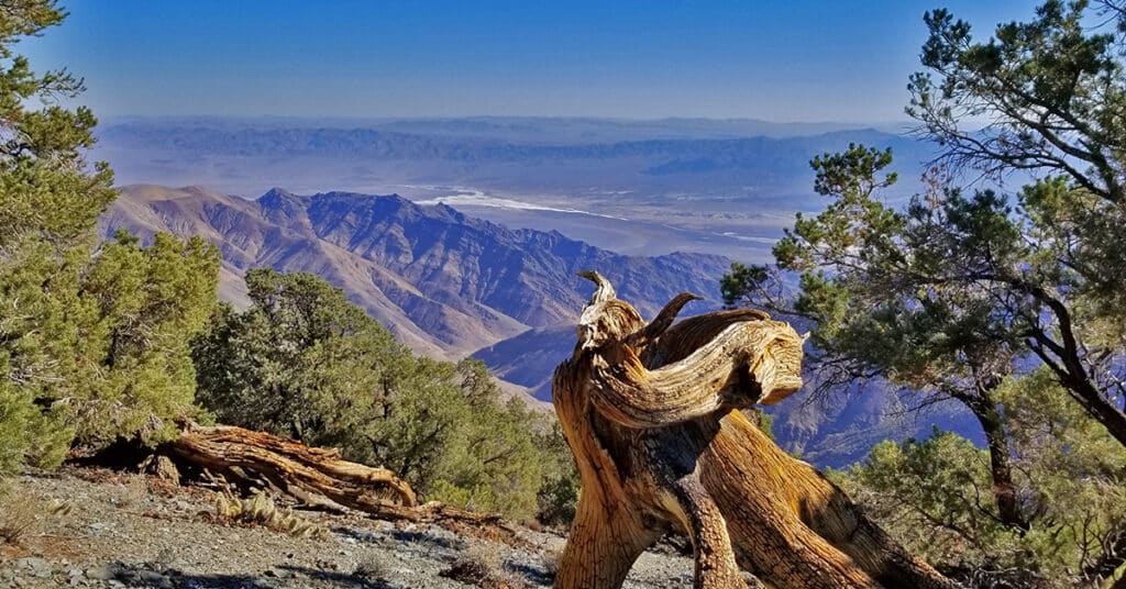 Adventure Website Design Services | Document Your Wilderness Adventures Your Way, Securely and Permanently